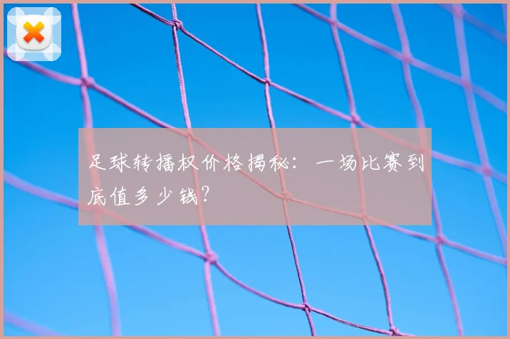 足球转播权价格揭秘：一场比赛到底值多少钱？